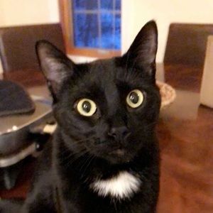 Meet your Posher, Lexi